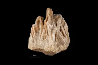 Valentinite