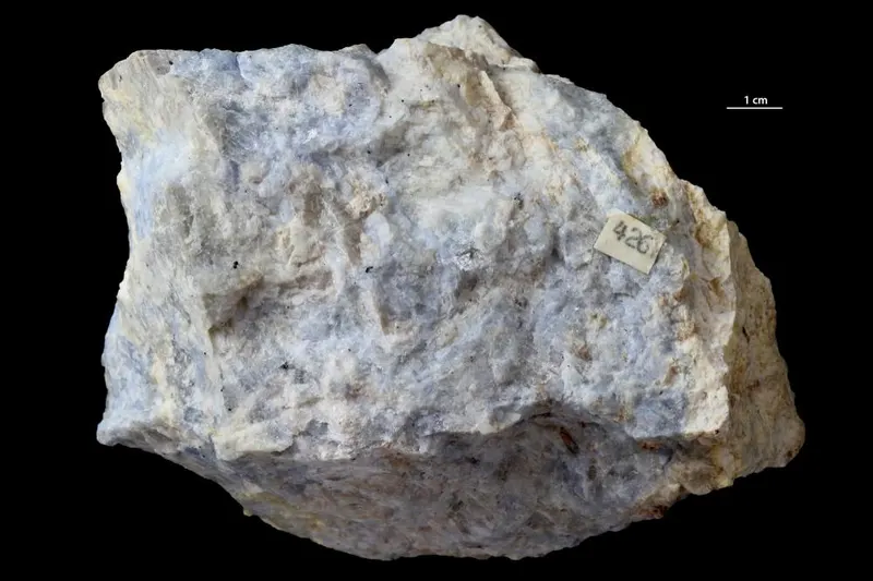 Vishnevite