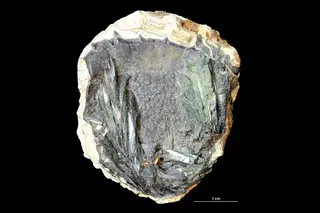Vivianite