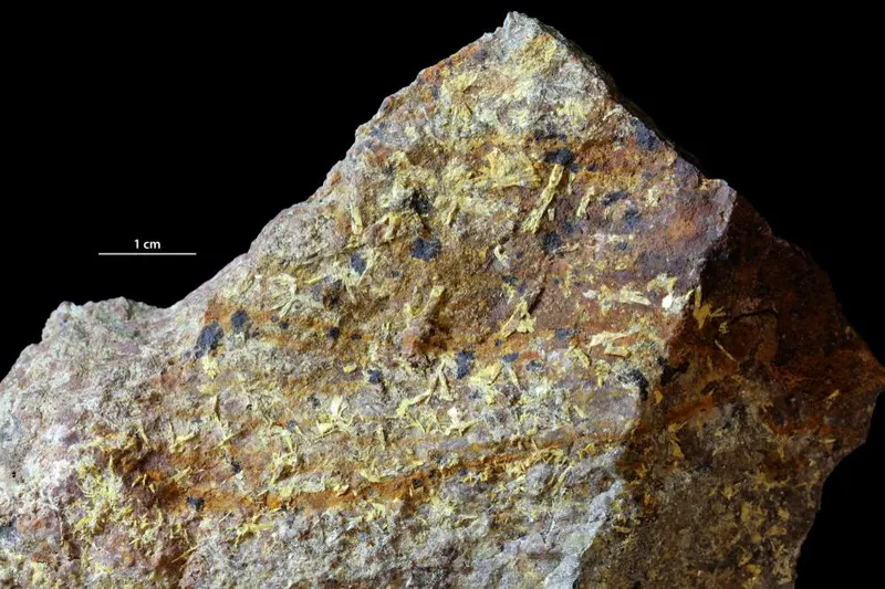 Walpurgite