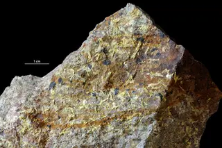 Walpurgite
