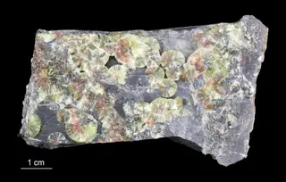 Wavellite