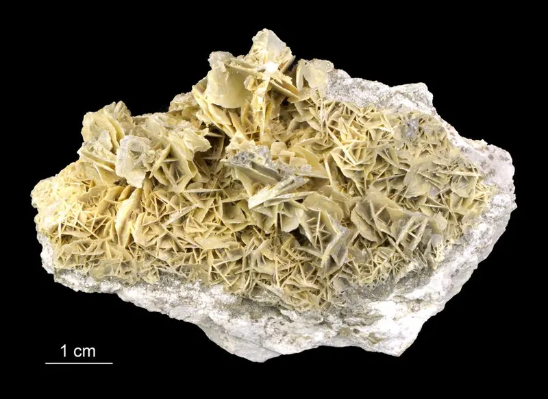 Wulfenite