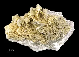Wulfenite