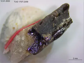 Yttrotantalite-(Y)