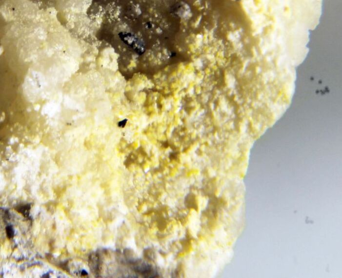 Berndtite