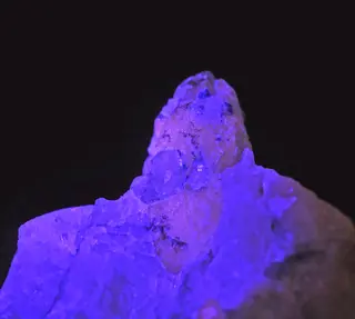Afghanite from Afghanistan (ultraviolet light).jpg