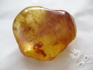 Kauri gum polished side.jpg
