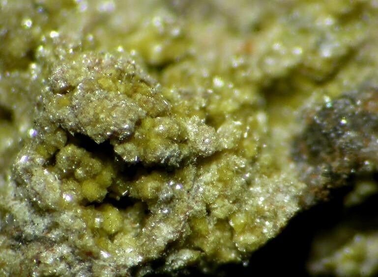 Beyerite