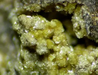 Beyerite-122710.jpg