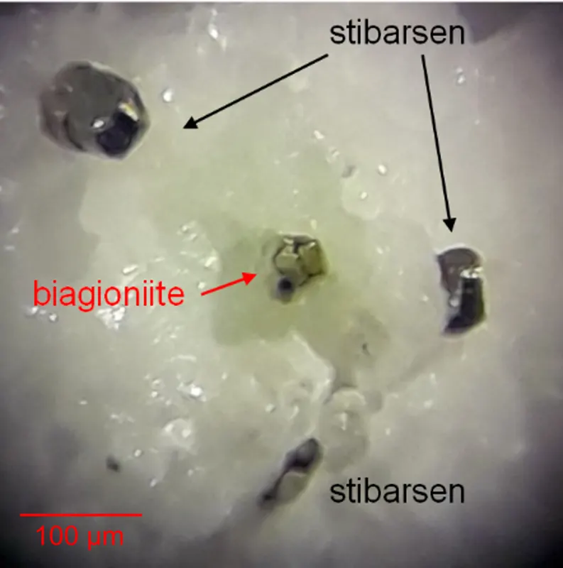 Biagioniite.png