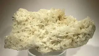 Bikitaite-22523.jpg