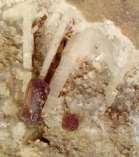 Bikitaite-Apatite-121104.jpg