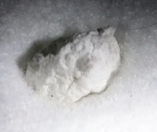 Ammonioborite.jpg