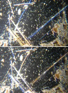 Amosite.PNG
