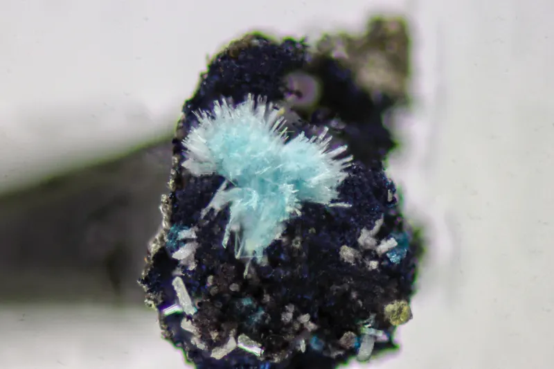 Birchite15362-2.jpg
