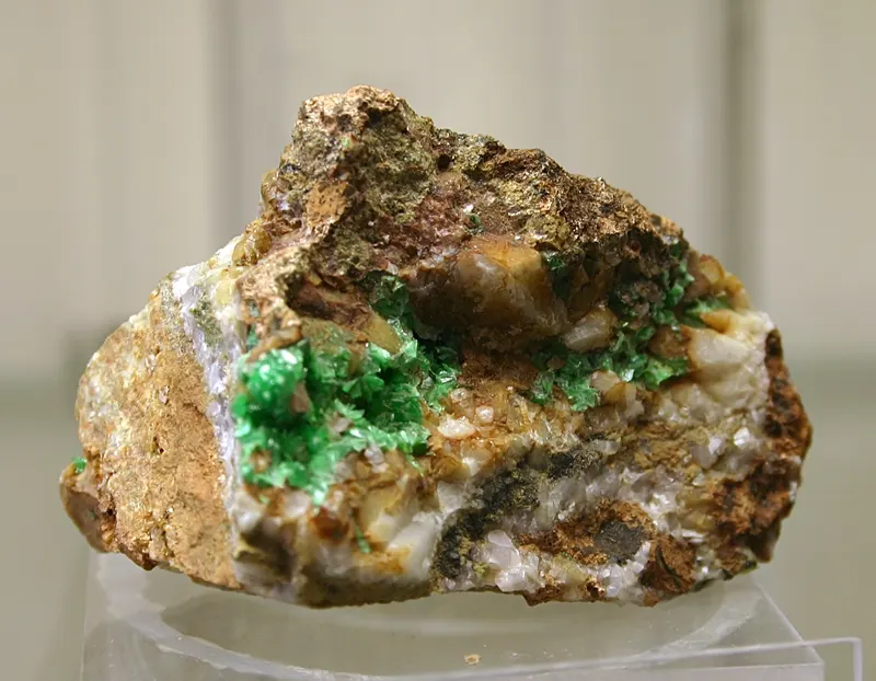 Annabergit - Varietät Cabrerit - Mineralogisches Museum Bonn (7299).jpg