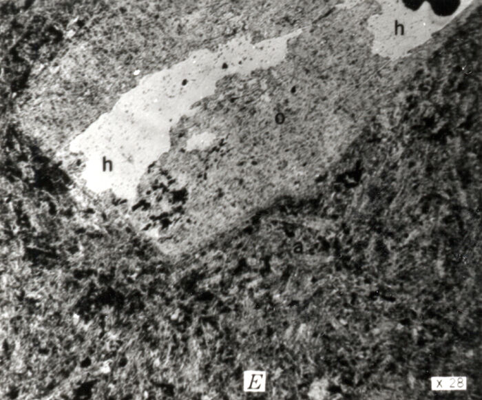Anorthoclase