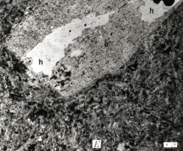 USGS anorthoclase.jpg