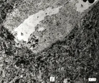 USGS anorthoclase.jpg