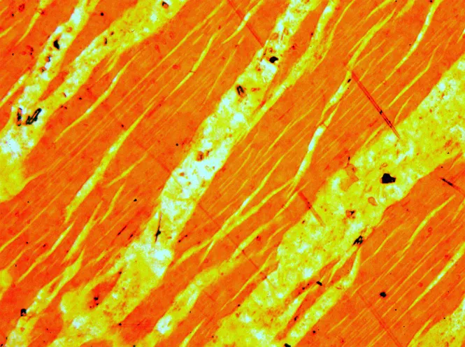 Perthite 0.4mm.jpg