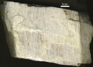 Perthitic feldspar Dan Patch SD.jpg