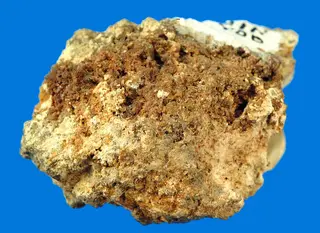 Bismite (GeoDIL number - 1270).jpg