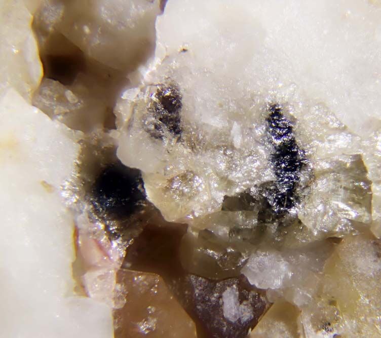 Bismutocolumbite