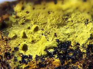 Bismutoferrite.jpg