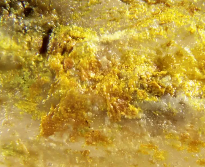 Bismutotantalite.jpg
