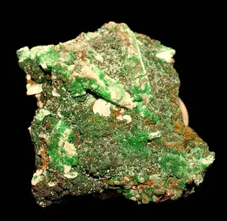 Arsentsumebite-174136.jpg