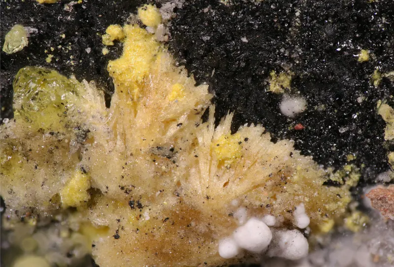 Rietveldite, Bobcookite, Ferricopiapite-805465.jpg