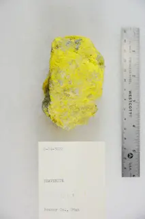 Beaverite (48140135543).jpg