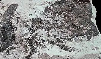 Mineraly.sk - bolivarit.jpg