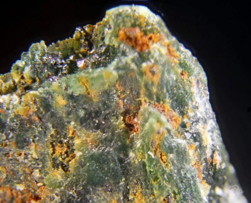 Bonaccordite