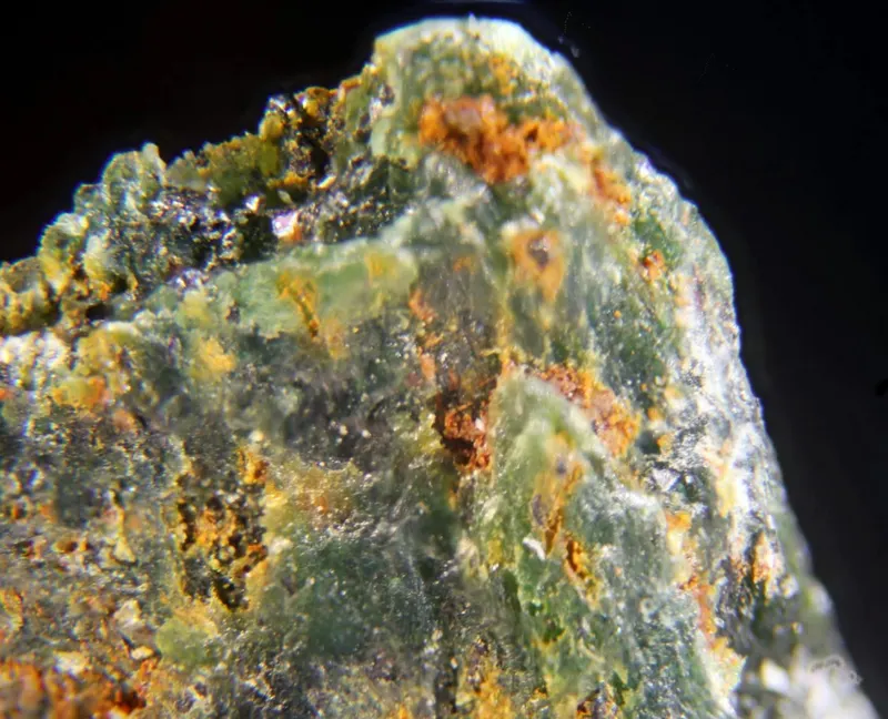 Bonaccordite & Trevorite.jpg