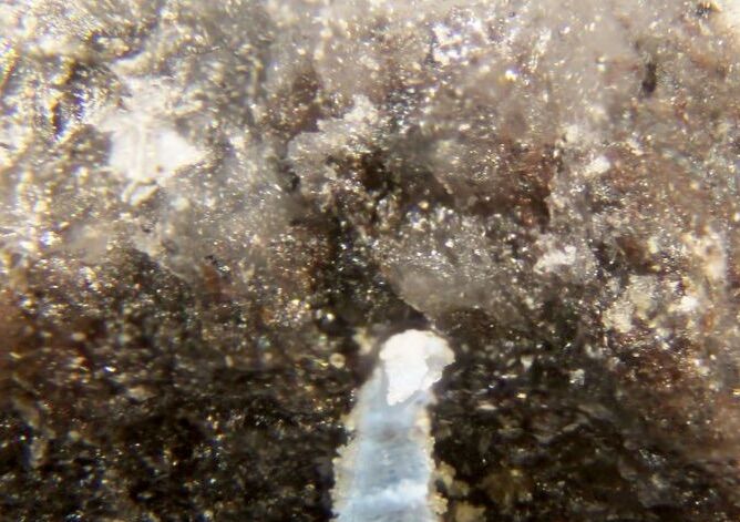 Bonacinaite
