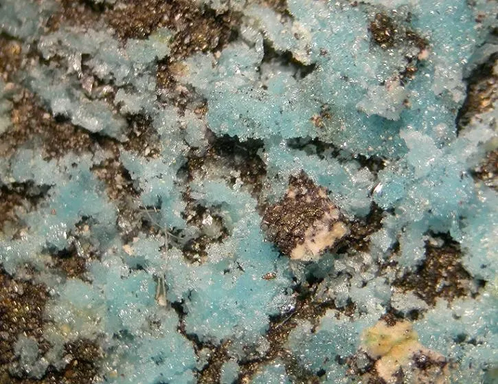 Bonattite-91259.jpg