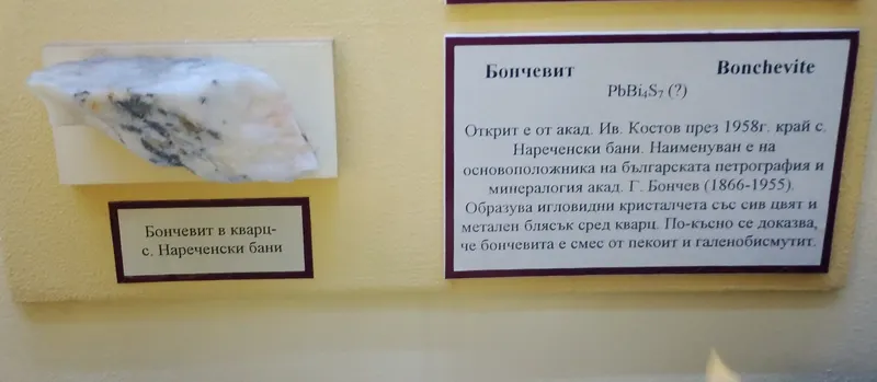 MINERAL BONCHEVITE FROM NARECHENSKI BANI - NATIONAL MUSEUM OF NATURAL HISTORY SOFIA, BULGARIA.jpg