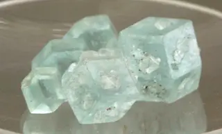 Boracit mineralogisches museum bonn.jpg
