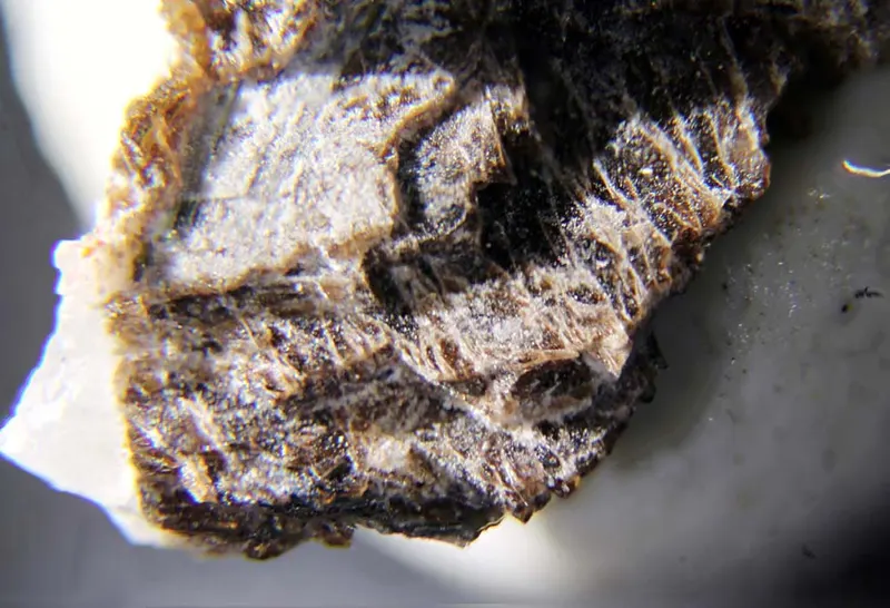 Bornemanite & Lomonosovite.jpg
