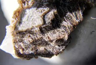 Bornemanite & Lomonosovite.jpg