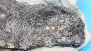 878 Plumosit 3.jpg