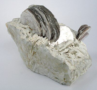 Boromuscovite