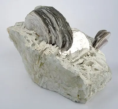 Boromuscovite-Lepidolite-ch38b.jpg