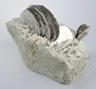 Boromuscovite-Lepidolite-ch38b.jpg