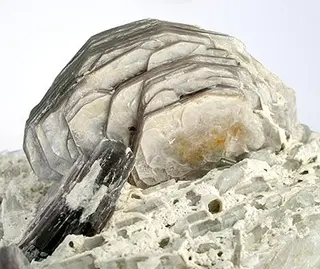 Boromuscovite-Lepidolite-ch38c.jpg