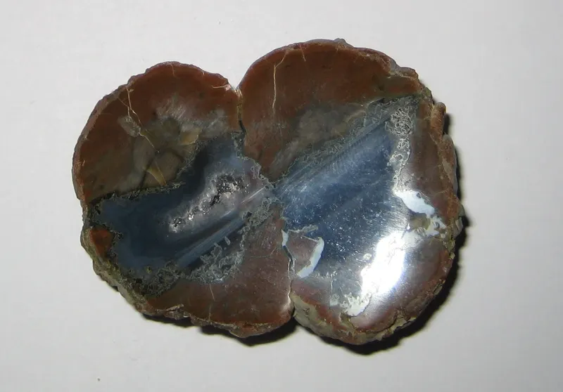 Ruin agate (2931683809).jpg