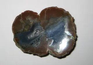 Ruin agate (2931683809).jpg