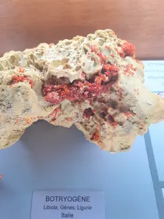 Botryogen, Musee de Mineralogie, Paris, 2025.jpg